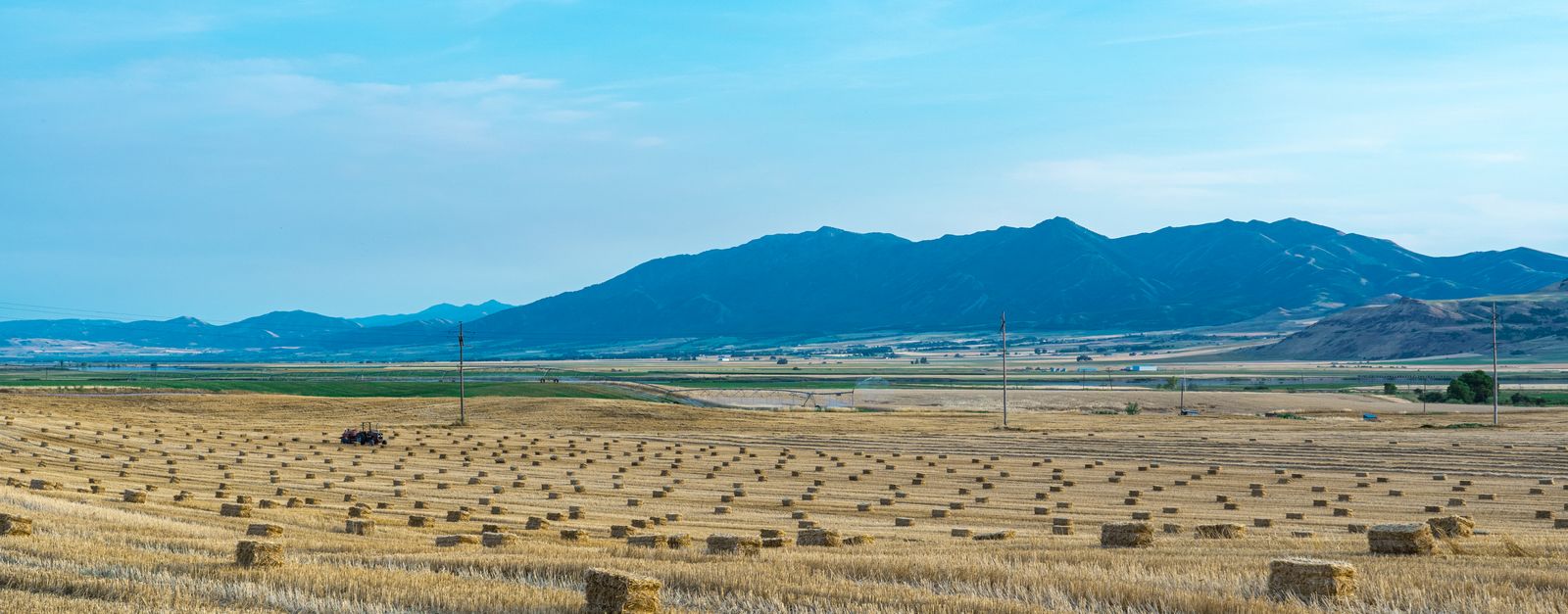 Hay bales scattered across a cut field with a blue mountain range behind, the kind of farm valley found in Juab County, Utah, one of five counties Devoted Health added for 2027