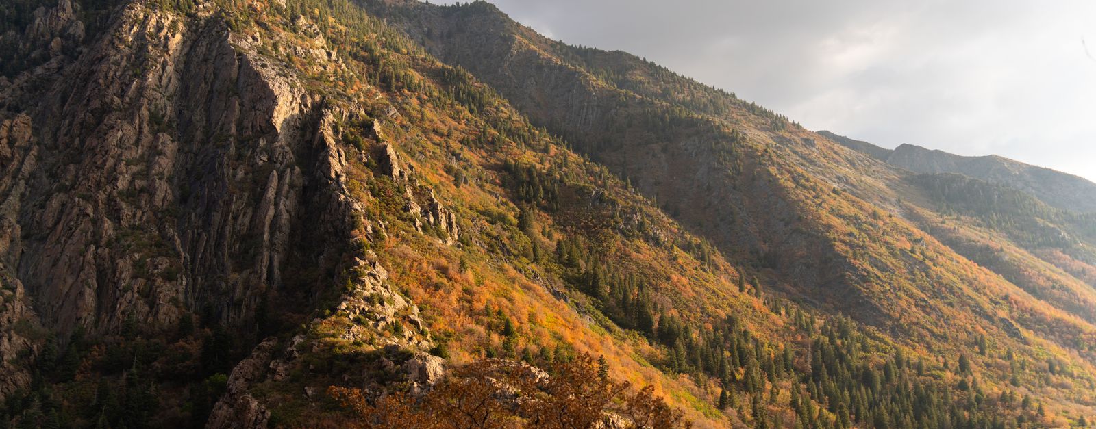 Golden autumn slopes and granite cliffs of Little Cottonwood Canyon in the Wasatch Range above Salt Lake County, Utah
